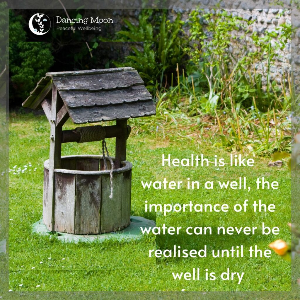 the importance of the water can never be realised until the well is dry